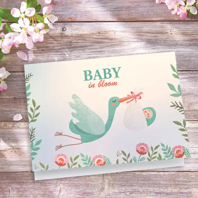 Greeting Cards
